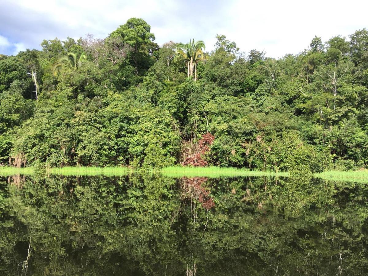 Amazon Arowana Lodge Careiro Zewnętrze zdjęcie