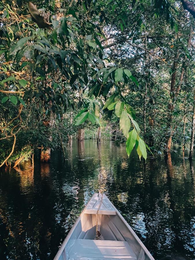 Amazon Arowana Lodge Careiro Zewnętrze zdjęcie