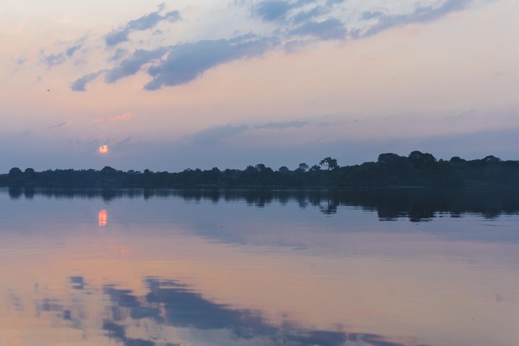 Amazon Arowana Lodge Careiro Zewnętrze zdjęcie