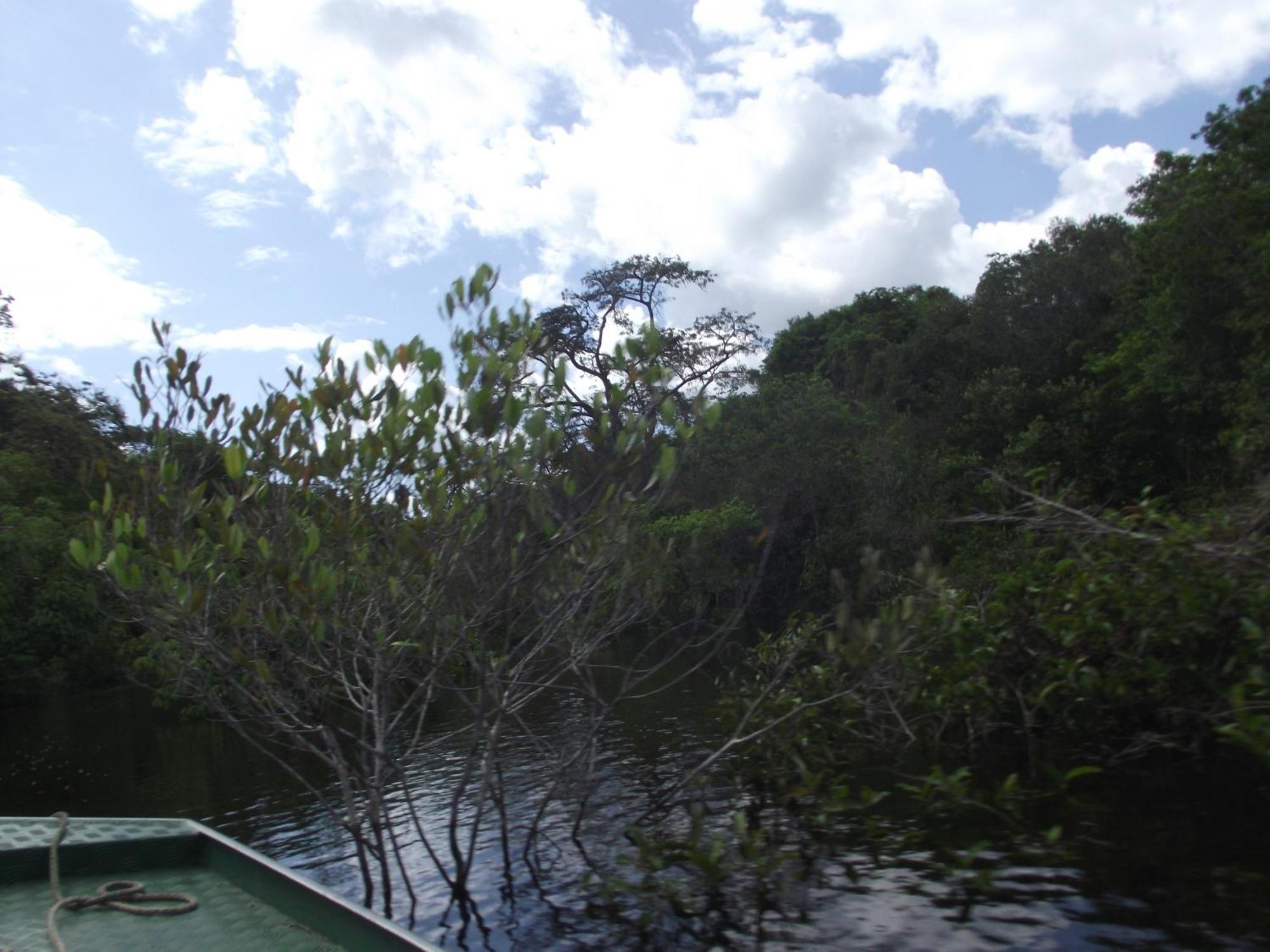 Amazon Arowana Lodge Careiro Zewnętrze zdjęcie